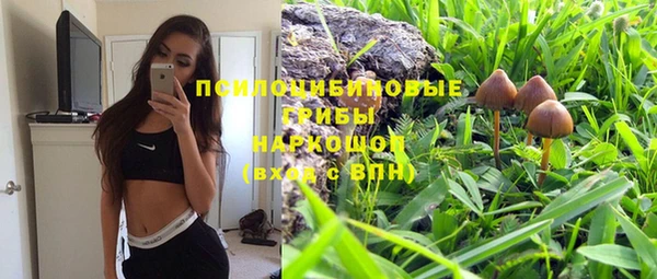 ешки Абаза