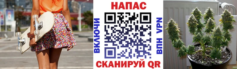 Марихуана SATIVA & INDICA  что такое наркотик  Кириллов 